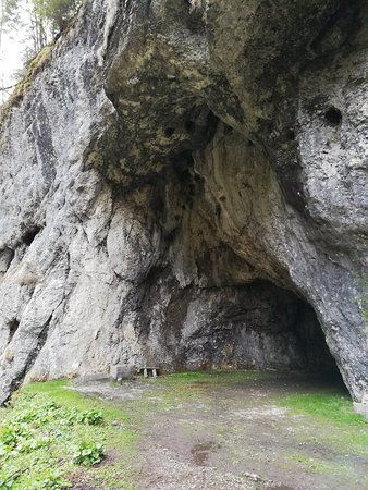Peștera Scărișoara